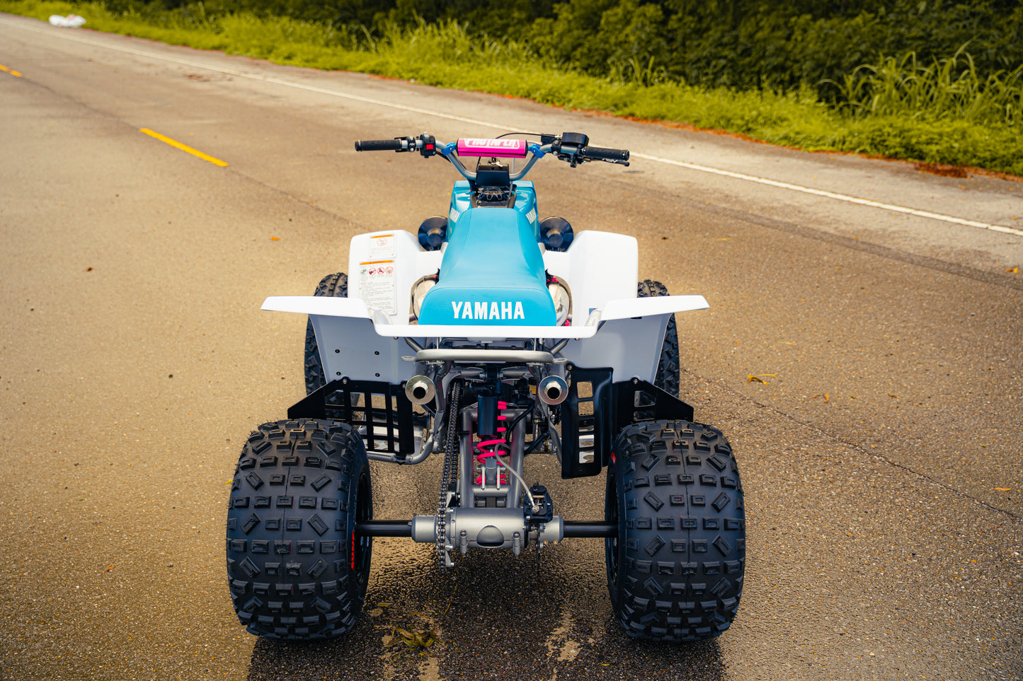Banshee Rear Tires